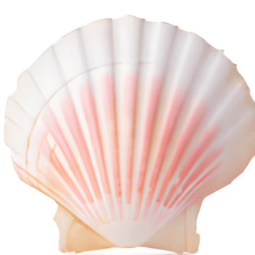 note-huong-vo-so-bien