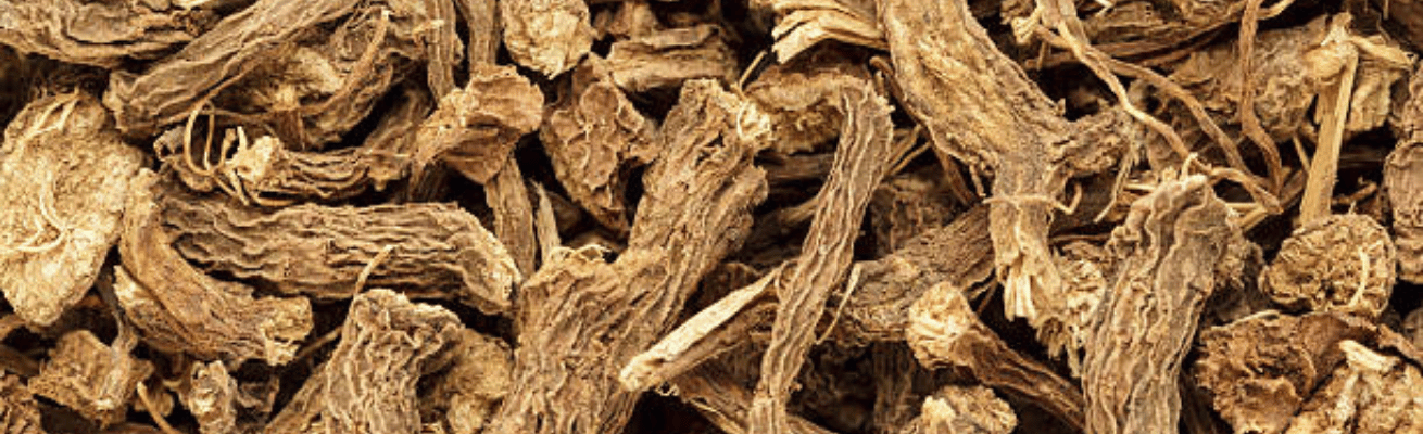 Xương Bồ/Rễ Cây Mây