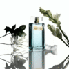 Narciso Rodriguez Wild Tuberose EDP Intense tại Hà Nội