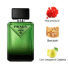 Prada Paradigme EDP mùi hương
