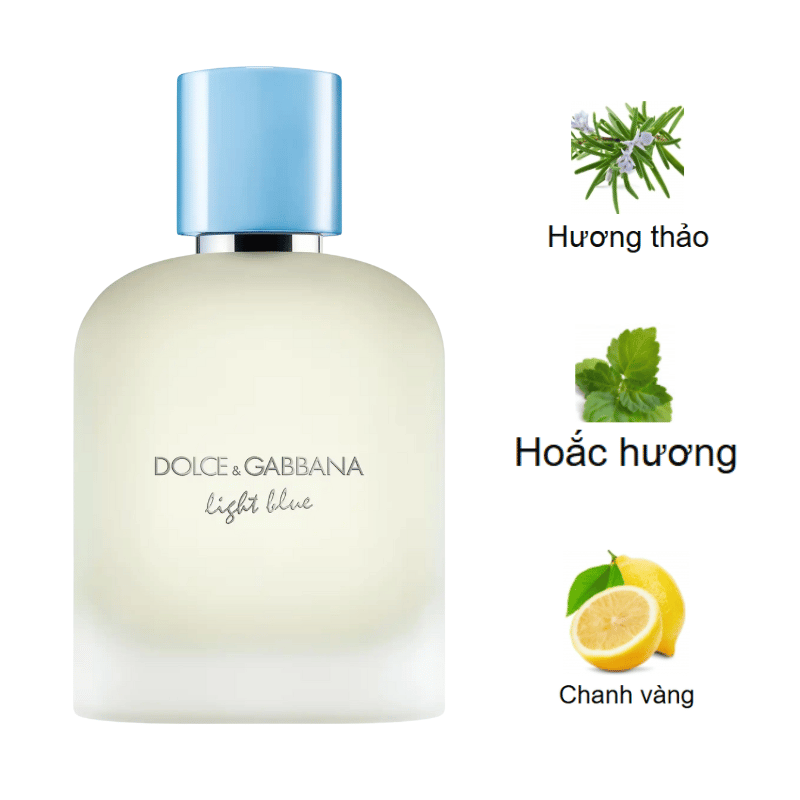 Dolce Gabbana Light Blue Pour Homme EDT 2025 mùi hương Dolce Gabbana Light Blue Pour Homme EDT 2025 mùi hương