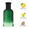 Hugo-Boss-Bottled-Bold-Citrus-2025-EDP-mui-huong