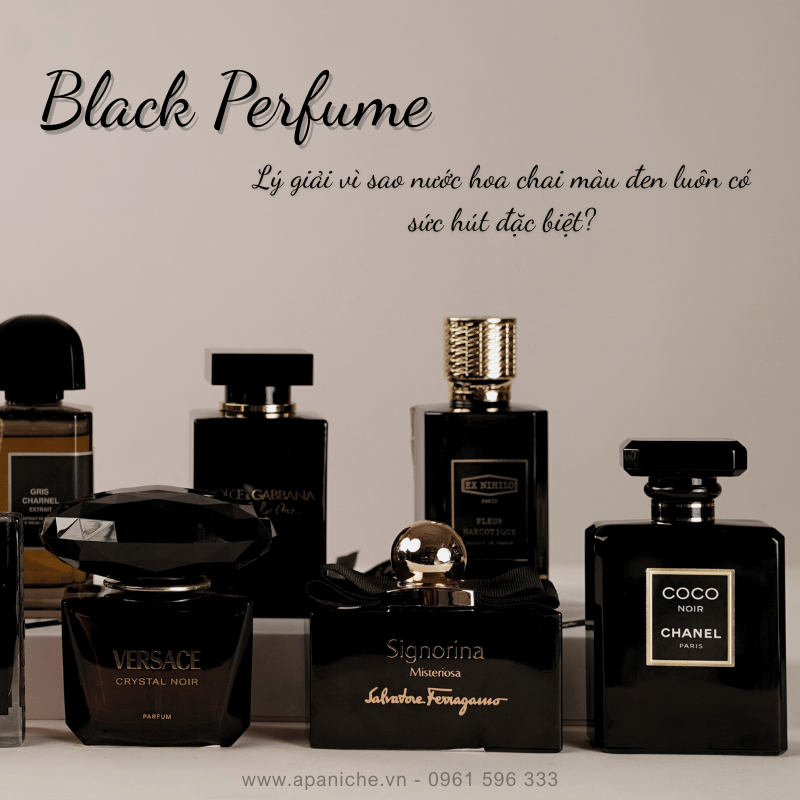 Lý giải vì sao nước hoa chai màu đen luôn có sức hút đặc biệt