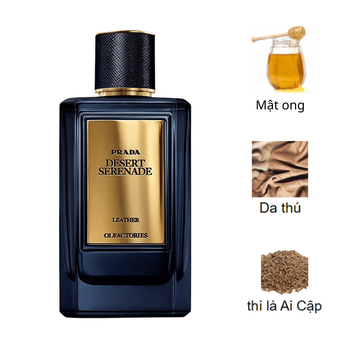 Prada-Olfactories-Mirages-Desert-Serenade-EDP-mui-huong Prada-Olfactories-Mirages-Desert-Serenade-EDP-mui-huong