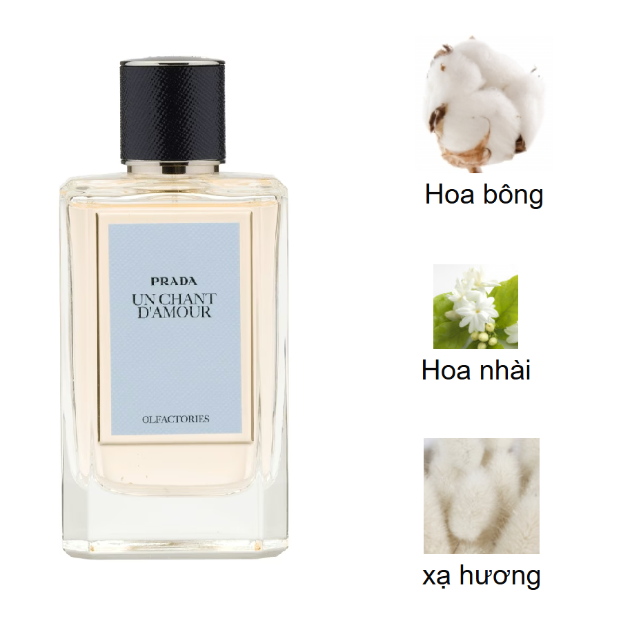 Prada Un Chant D'Amour mui huong Prada Un Chant D'Amour mui huong