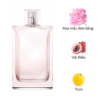 Burberry Brit Sheer mui huong