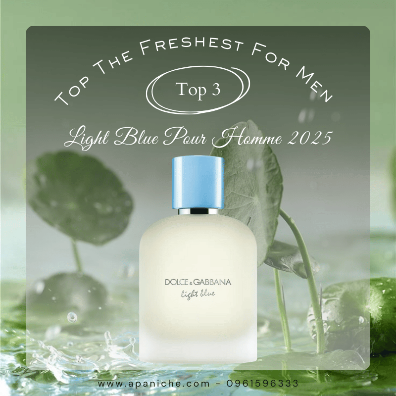 Nước hoa Dolce Gabbana Light Blue Pour Homme Eau de Toilette