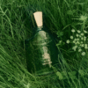 Creed Wild Vetiver EDP gia tot