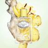 Prada Infusion de Gingembre EDP gia tot