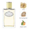 Prada Infusion de Gingembre EDP mùi hương
