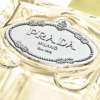 Prada Infusion de Gingembre EDP tại Hà Nội