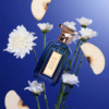 Velixir Icarus EDP tại Hà Nội