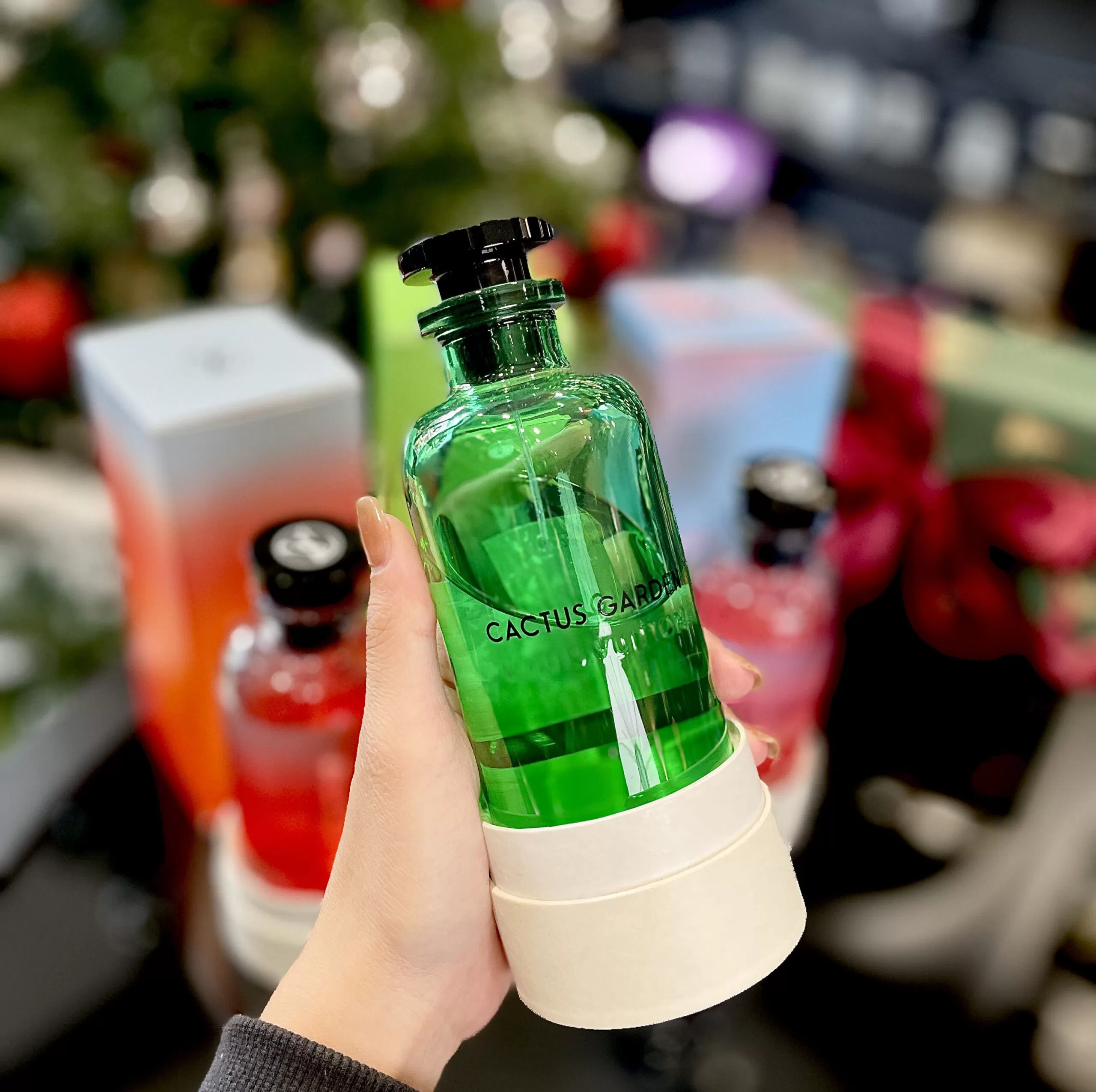 Louis-Vuitton-Cactus-Garden-tai-ha-noi