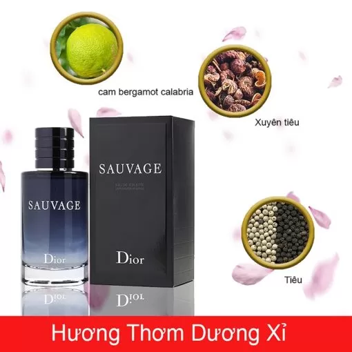 Dior-Sauvage-EDT-mui-huong