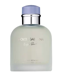 Dolce-Gabbana-Light-Blue-Pour-Homme-EDT-apa-niche