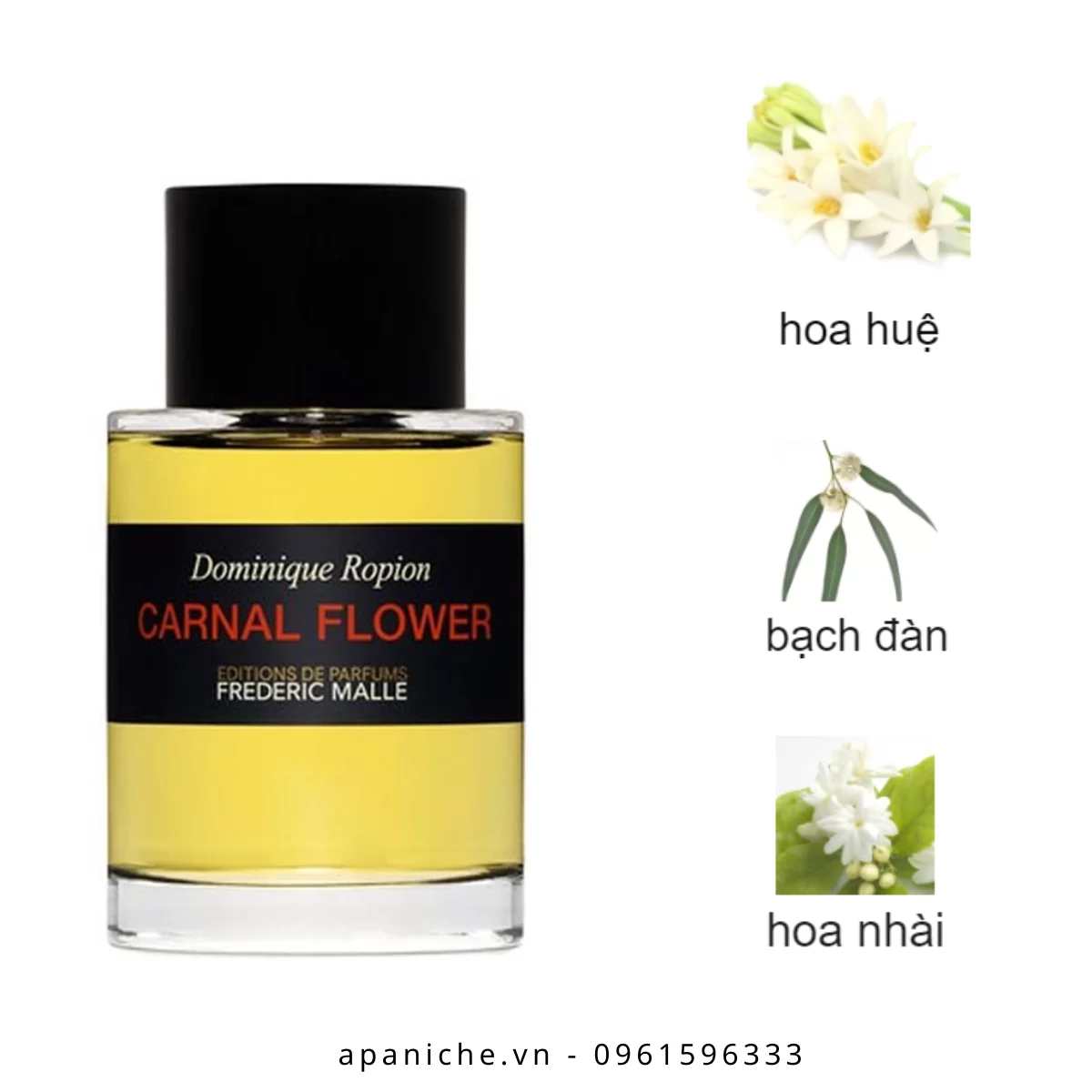 Frederic-Malle-Carnal-Flower-EDP-mui-huong