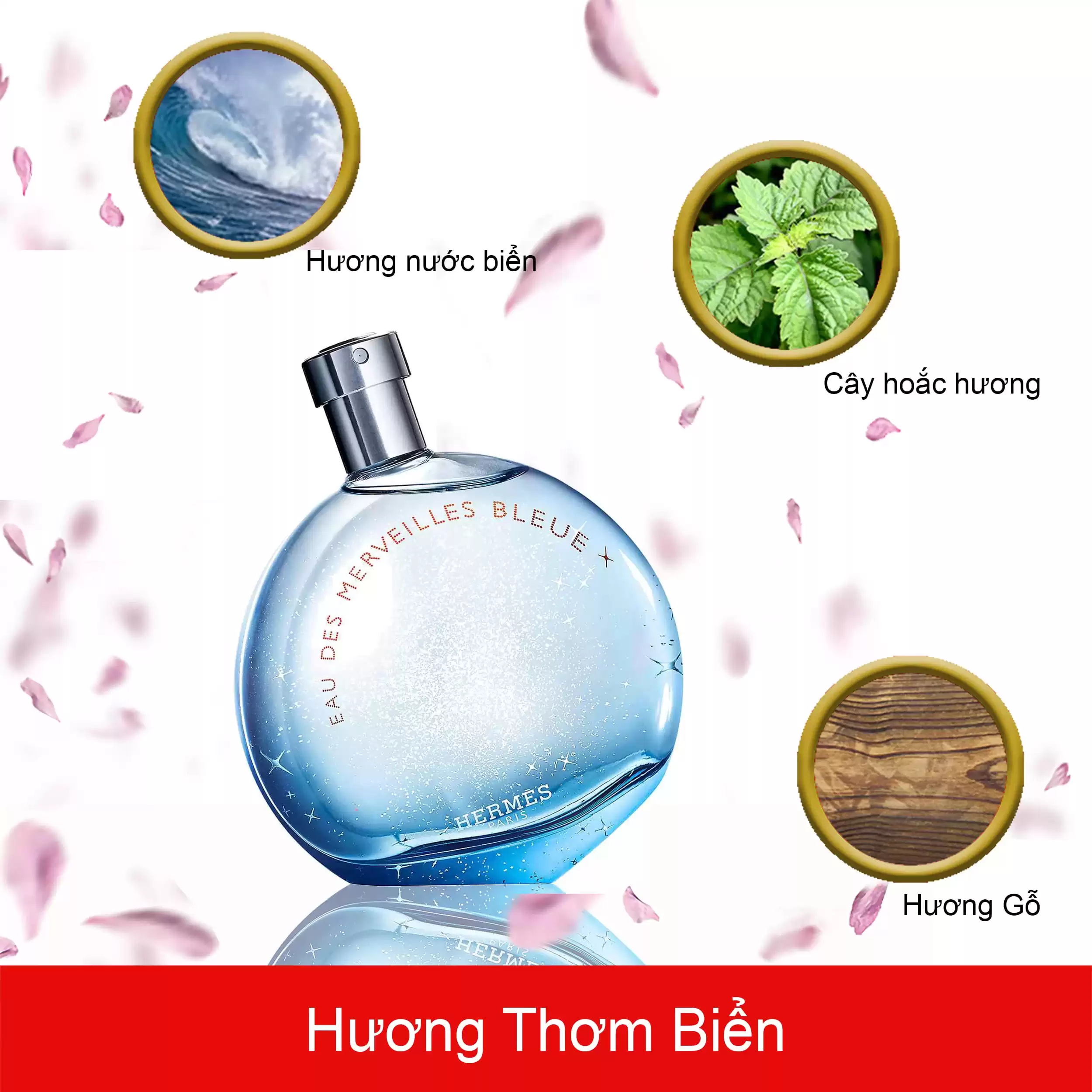 HERMeS-Eau-des-Merveilles-Bleue-mui-huong.jpg