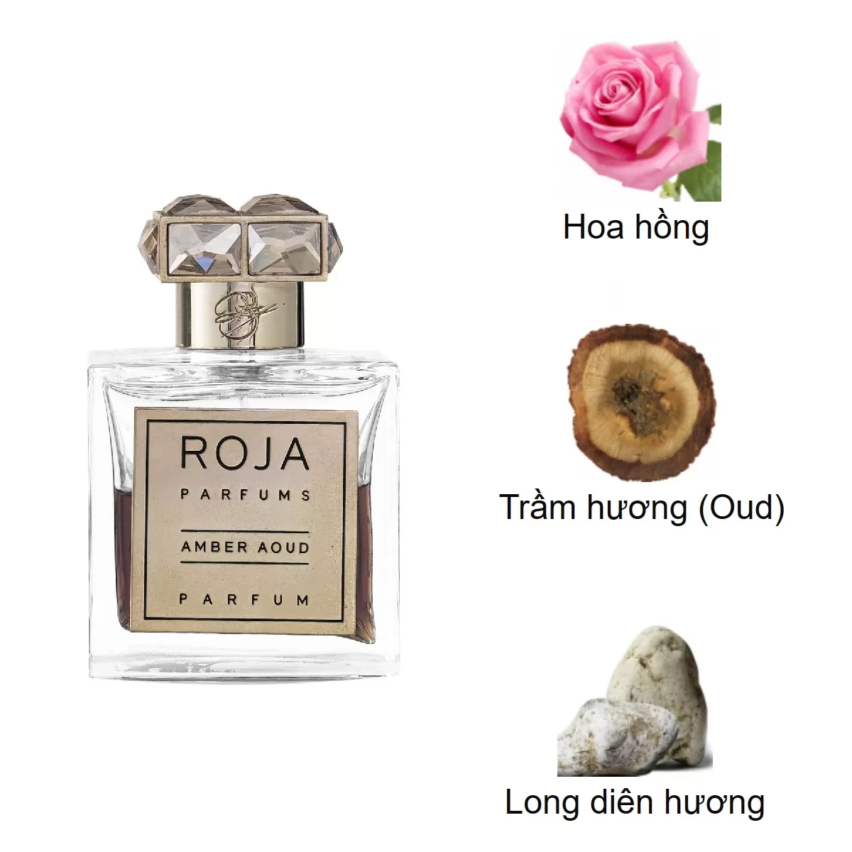 Roja-Dove-Amber-Aoud-Parfum-mui-huong