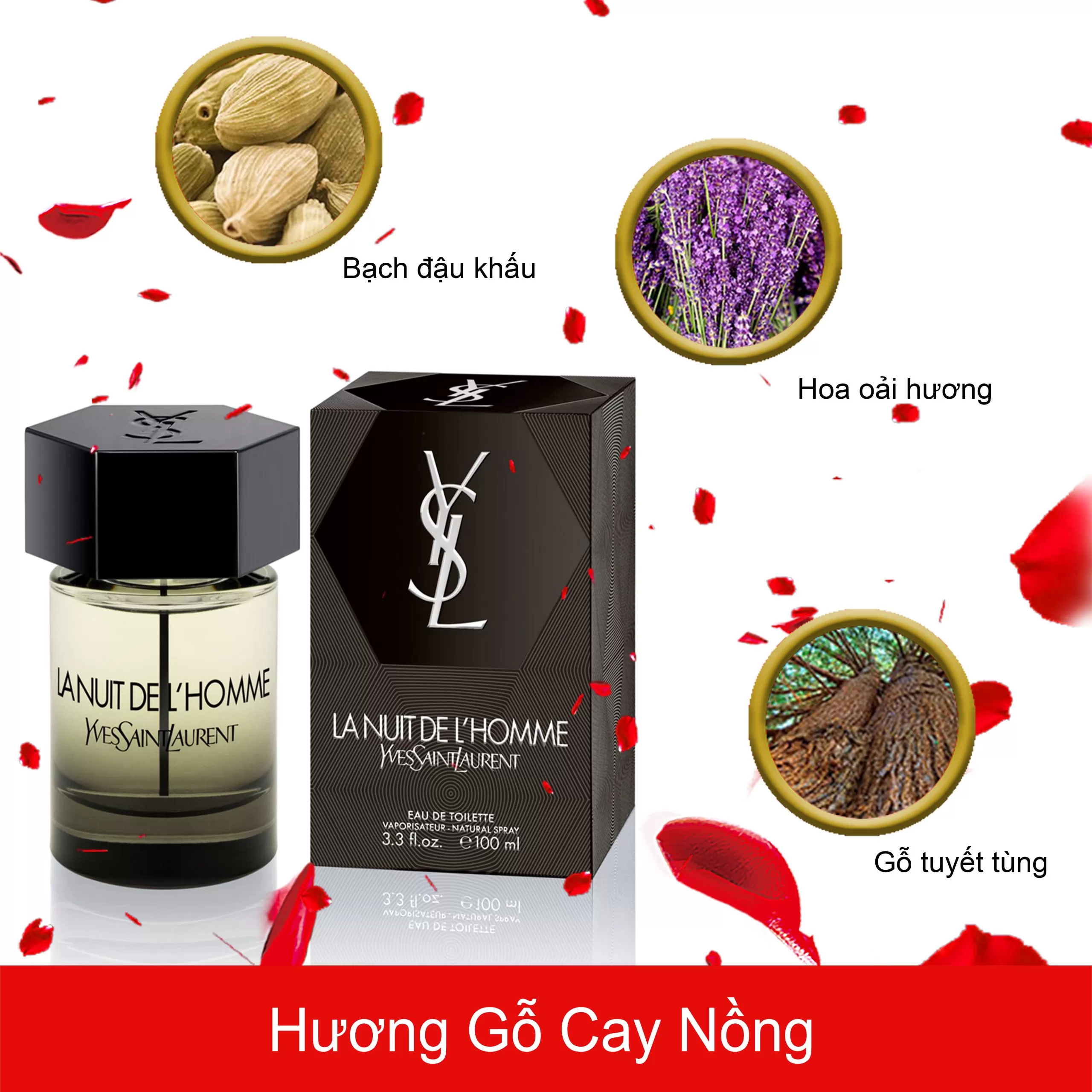 Yves-Saint-Laurent-La-Nuit-De-L-Homme-EDT-mui-huong