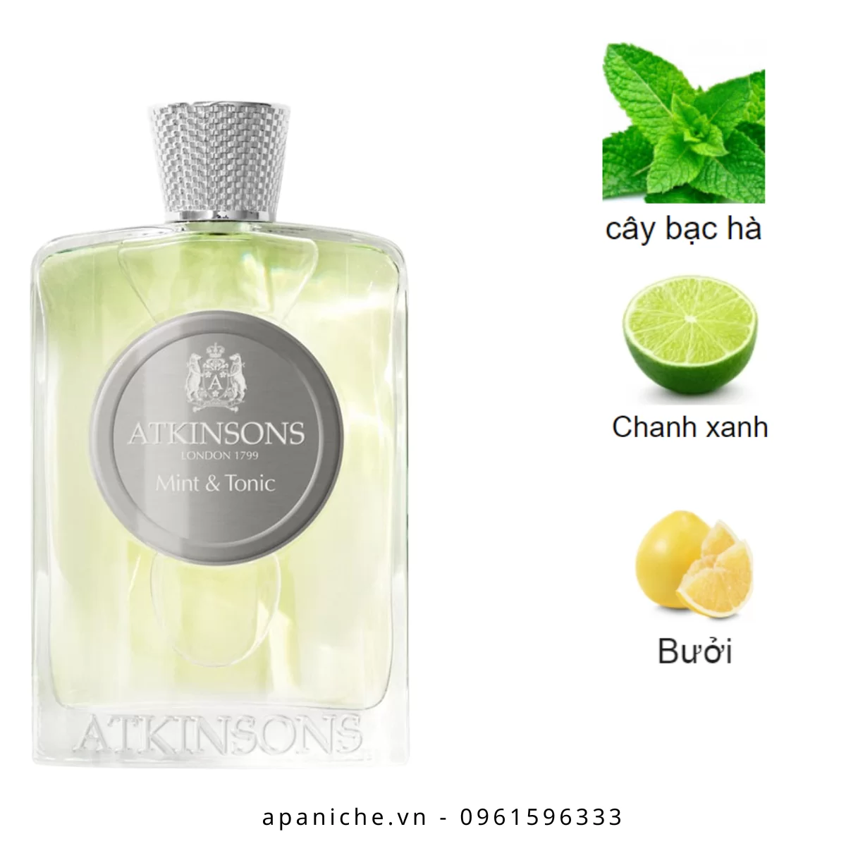 Atkinsons-Mint-Tonic-EDP-mui-huong