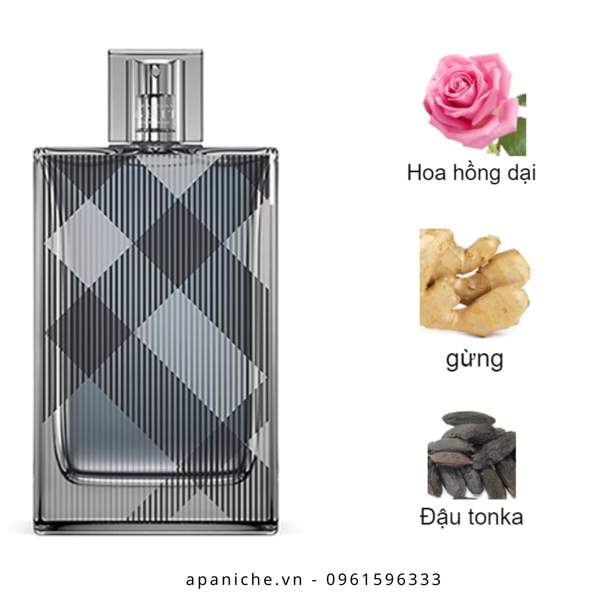 Burberry-Brit-For-Him-EDT-mui-huong Burberry-Brit-For-Him-EDT-mui-huong