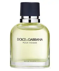 Dolce-Gabbana-Pour-Homme-Eau-De-Toilette-apa-niche