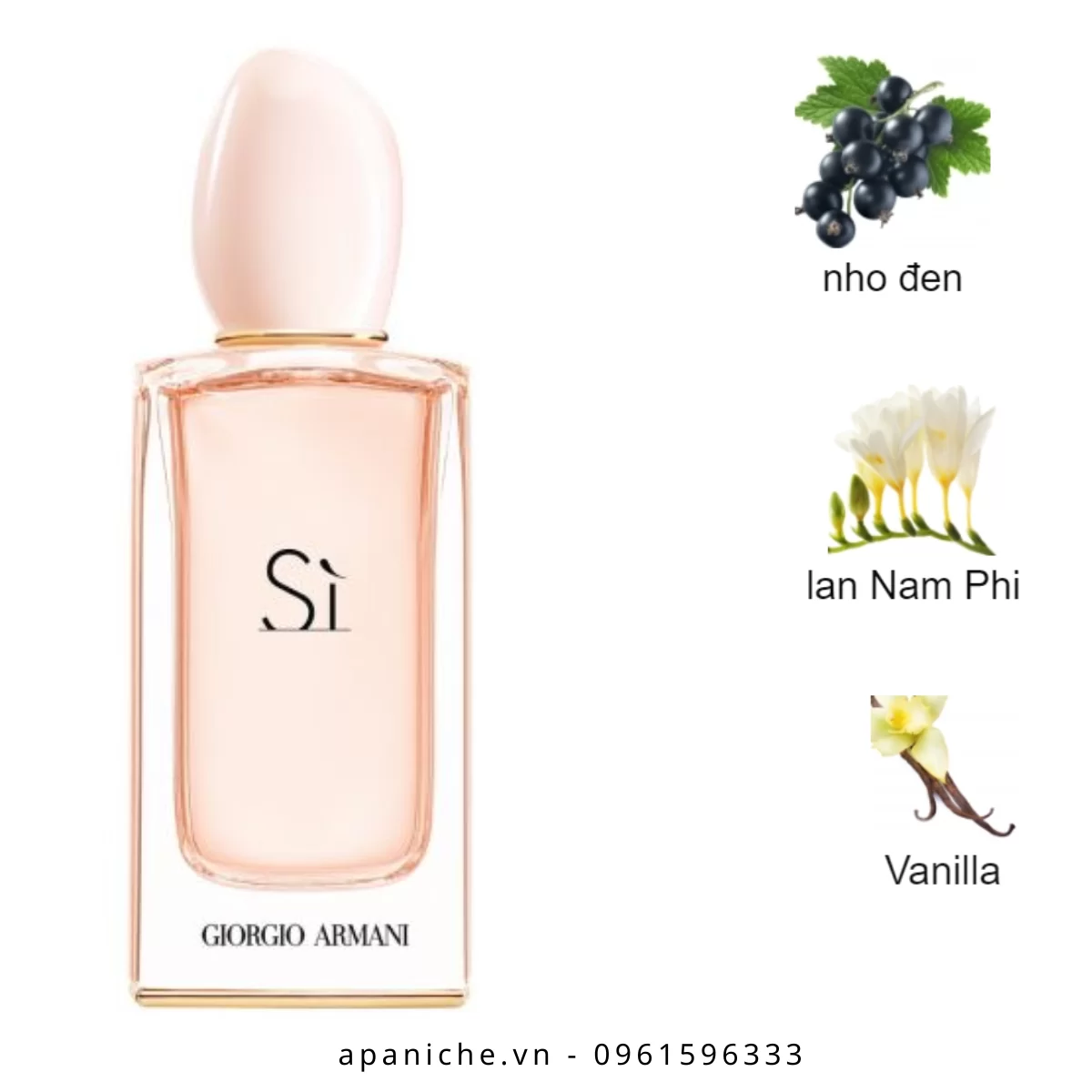 Giorgio-Armani-Sì-EDT-mui-huong Giorgio-Armani-Si-EDT-mui-huong