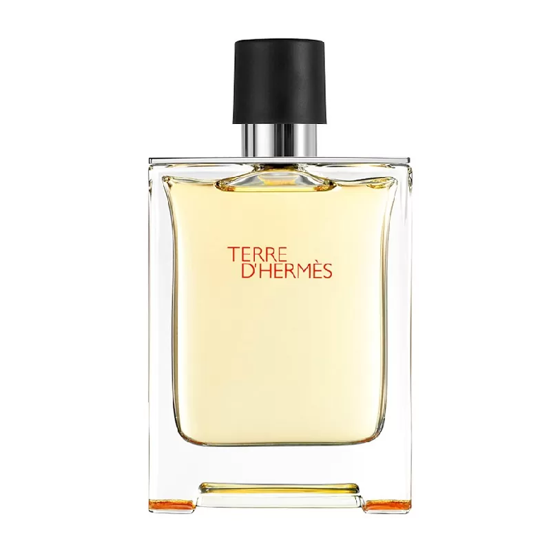 HermesTerre-d’Hermes-EDT-apa-niche