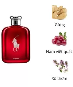 Ralph-Lauren-Polo-Red-EDP-mui-huong