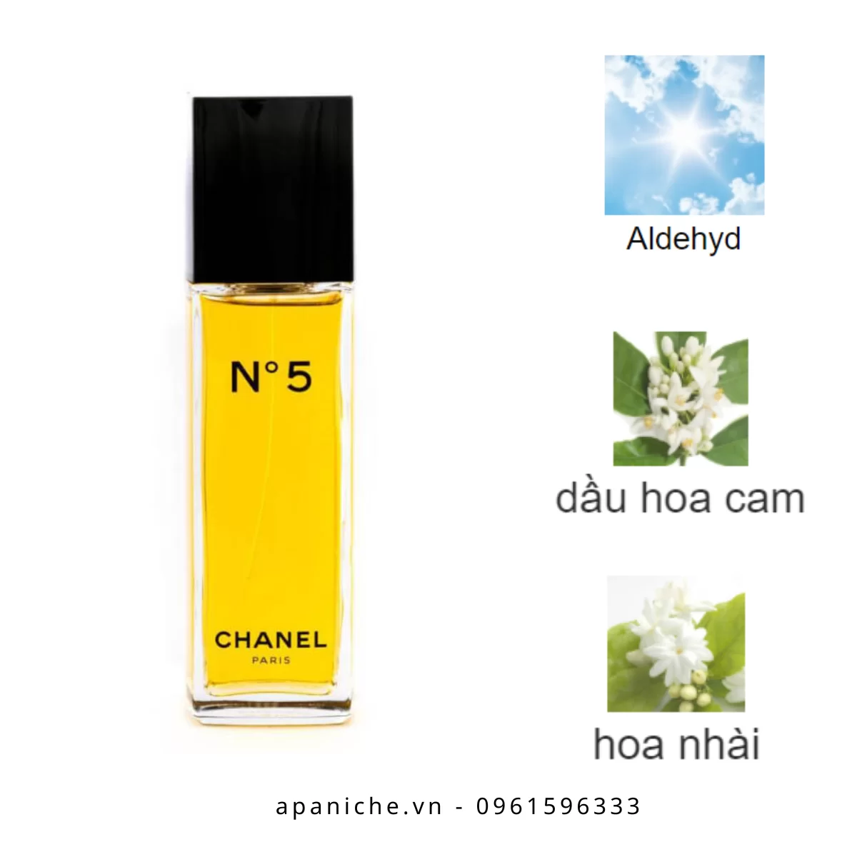 Chanel-No5-EDT-mui-huong