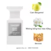 Tom-ford-Soleil-Neige-EDP-mui-huong