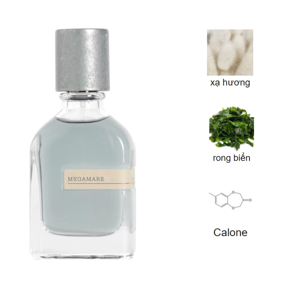 Orto-Parisi-Megamare-EDP-mui-huong Orto-Parisi-Megamare-EDP-mui-huong