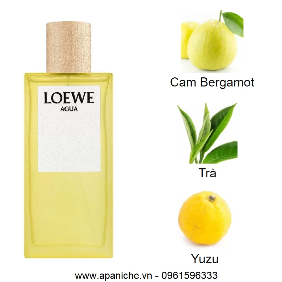Loewe-Agua-EDT-mui-huong
