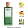 Loewe-Agua-Miami-EDT-mui-huong