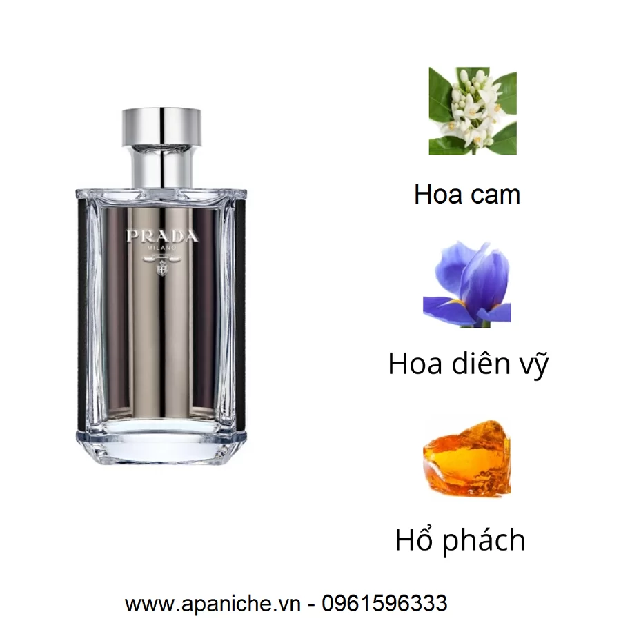 Prada-L-Homme-EDT-mui-huong