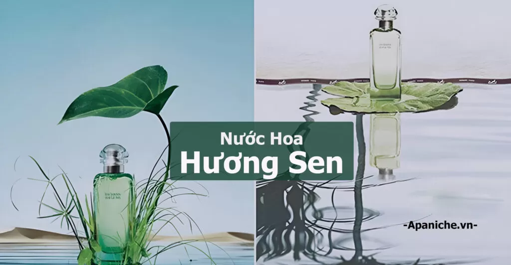 Top 11 Chai Nước Hoa Hương Hoa Sen Cho Nam, Nữ Thơm Nhất