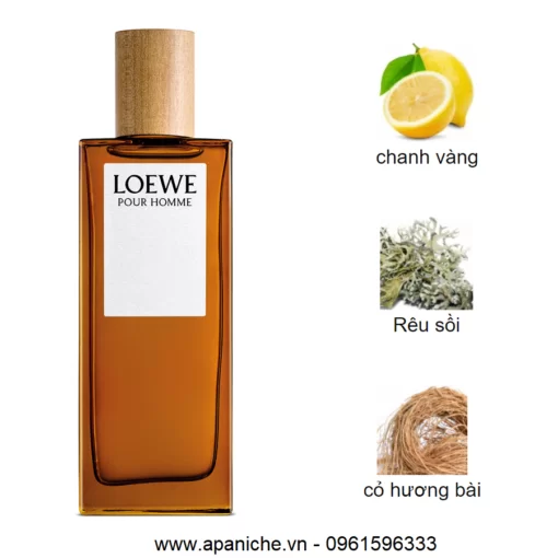 Loewe-Pour-Homme-EDT-mui-huong