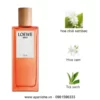 Loewe-Solo-Ella-EDT-mui-huong