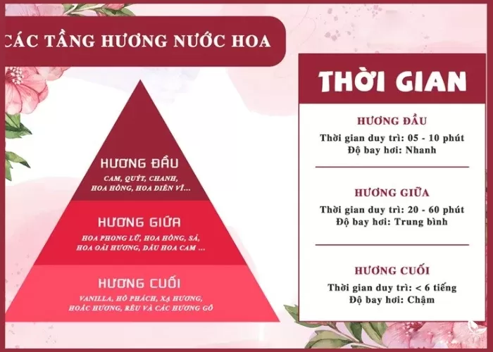 Tầng hương nước hoa là gì?