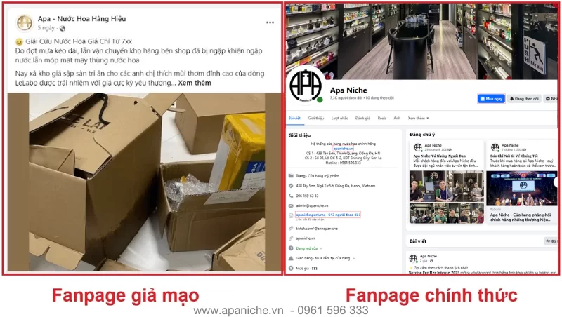 Fanpage chính thức của Apa Niche và 1 fanpgae giả mạo