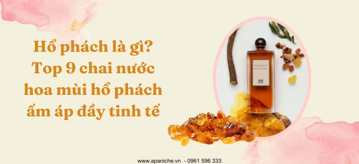 Hổ phách là gì? Top 9 chai nước hoa mùi hổ phách ấm áp đầy tinh tế