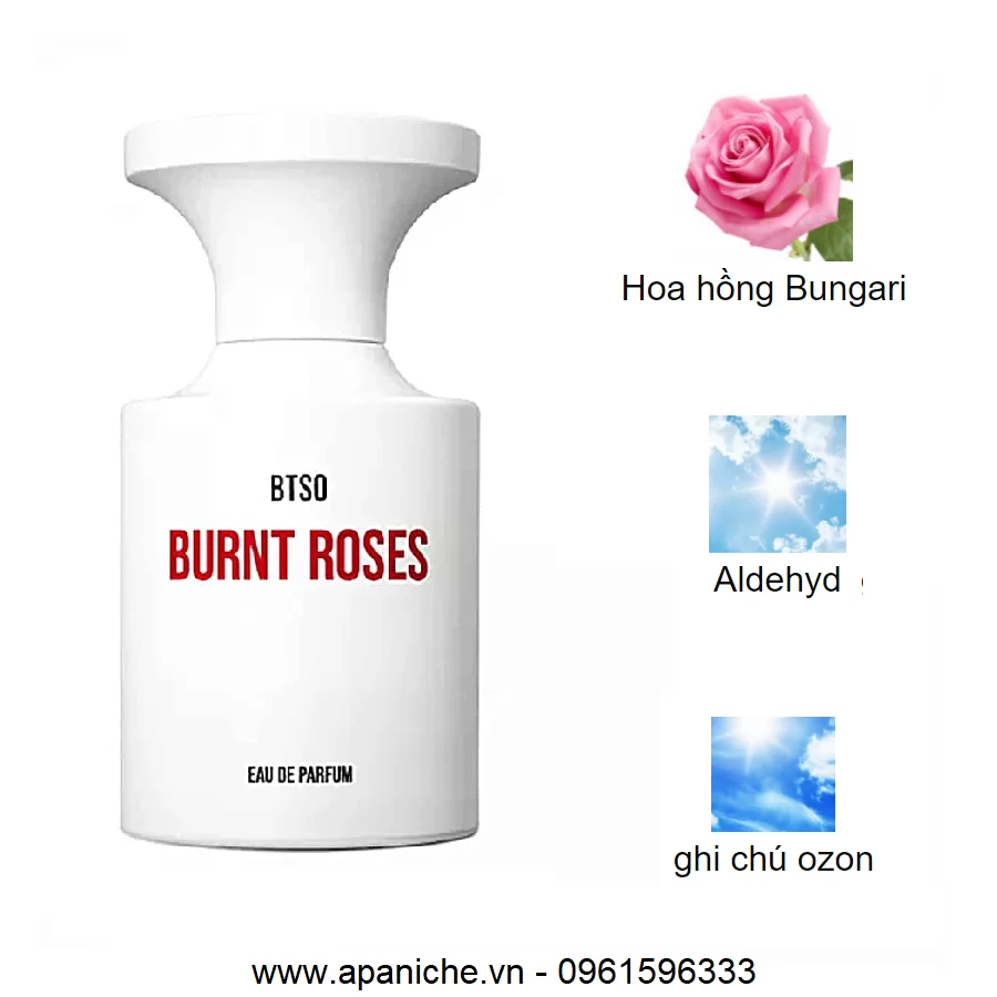 Borntostandout-Burnt-Roses-mui-huong