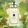 Jo-Malone-English-Oak-Hazelnut-Cologne-gia-tot-nhat