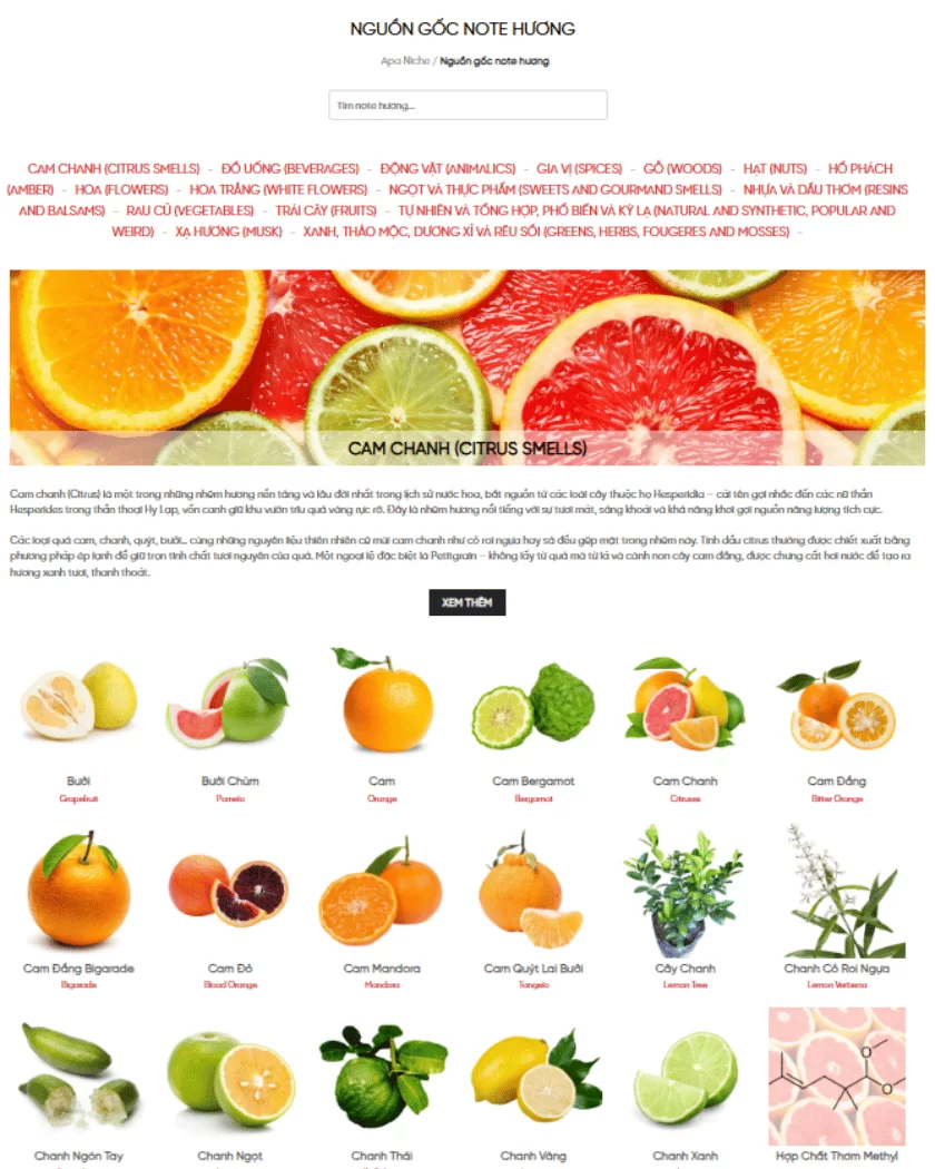 Note hương - Thành phần mùi hương