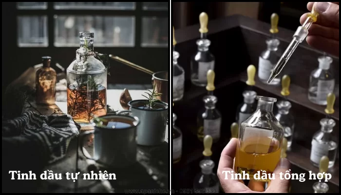 Tinh dầu nước hoa