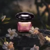 Versace Crystal Noir Parfum Apa Niche