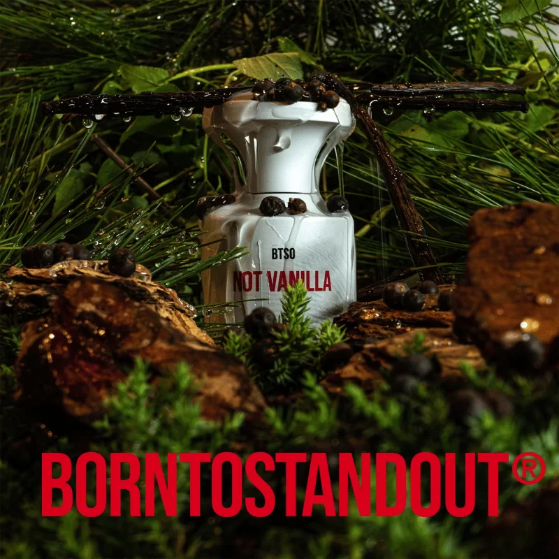 BORNTOSTANDOUT BTSO Not Vanilla Apa Niche