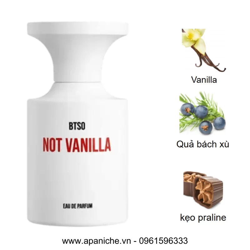 BORNTOSTANDOUT BTSO Not Vanilla mùi hương