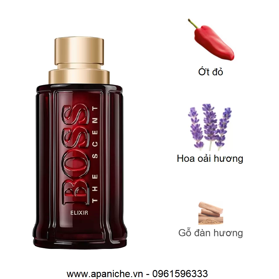 hugo boss the scent elixir parfum intense mui huong