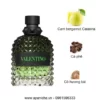 valentino uomo born in roma green stravaganza mui huong